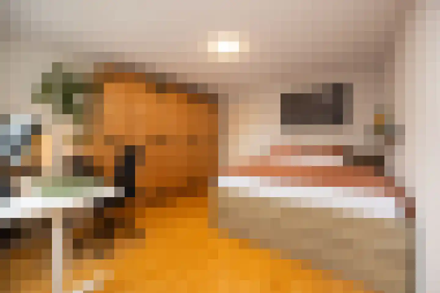 Verlengde Statenlaan 3 's-Hertogenbosch thumbnail 18