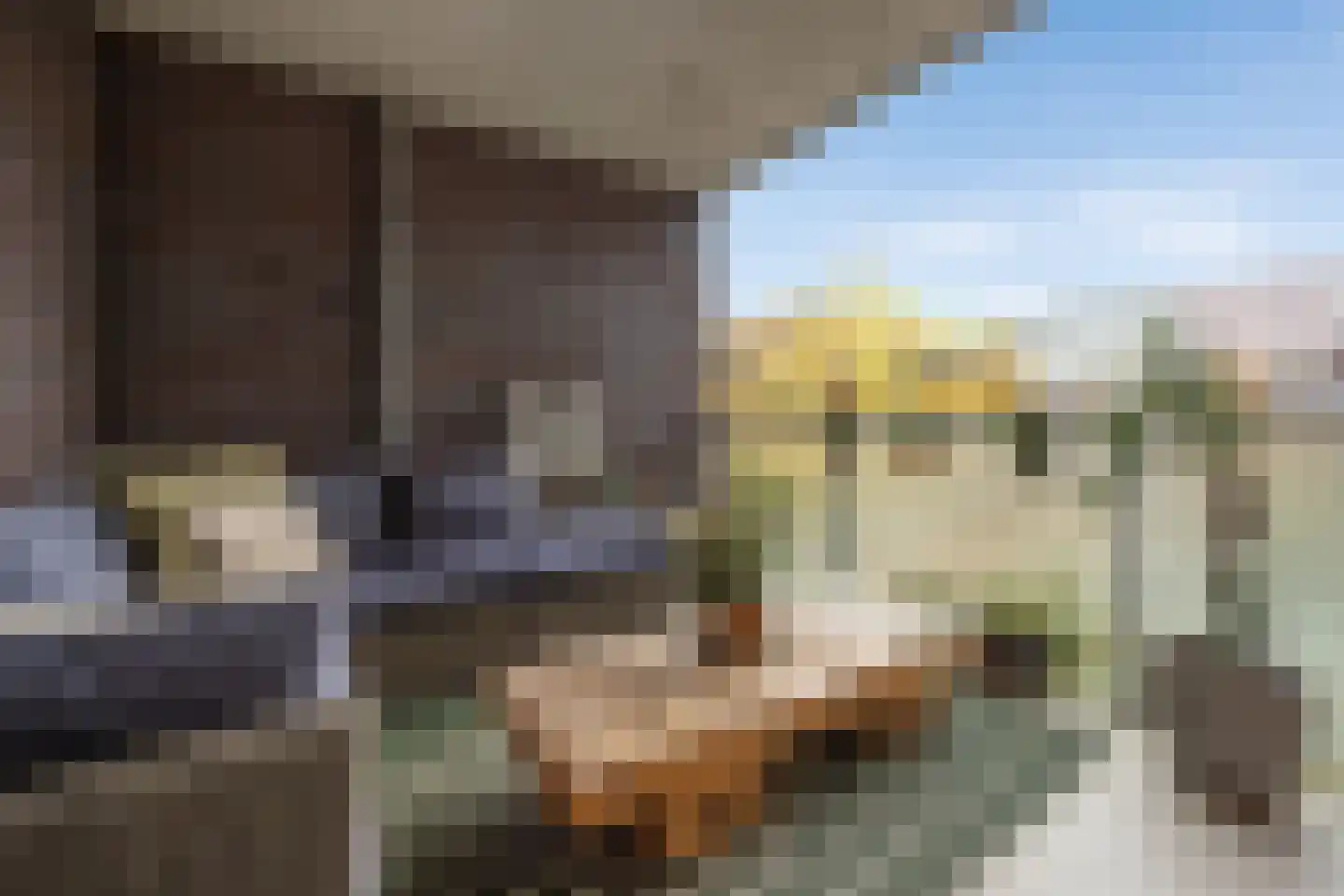 Verlengde Statenlaan 3 's-Hertogenbosch thumbnail 20