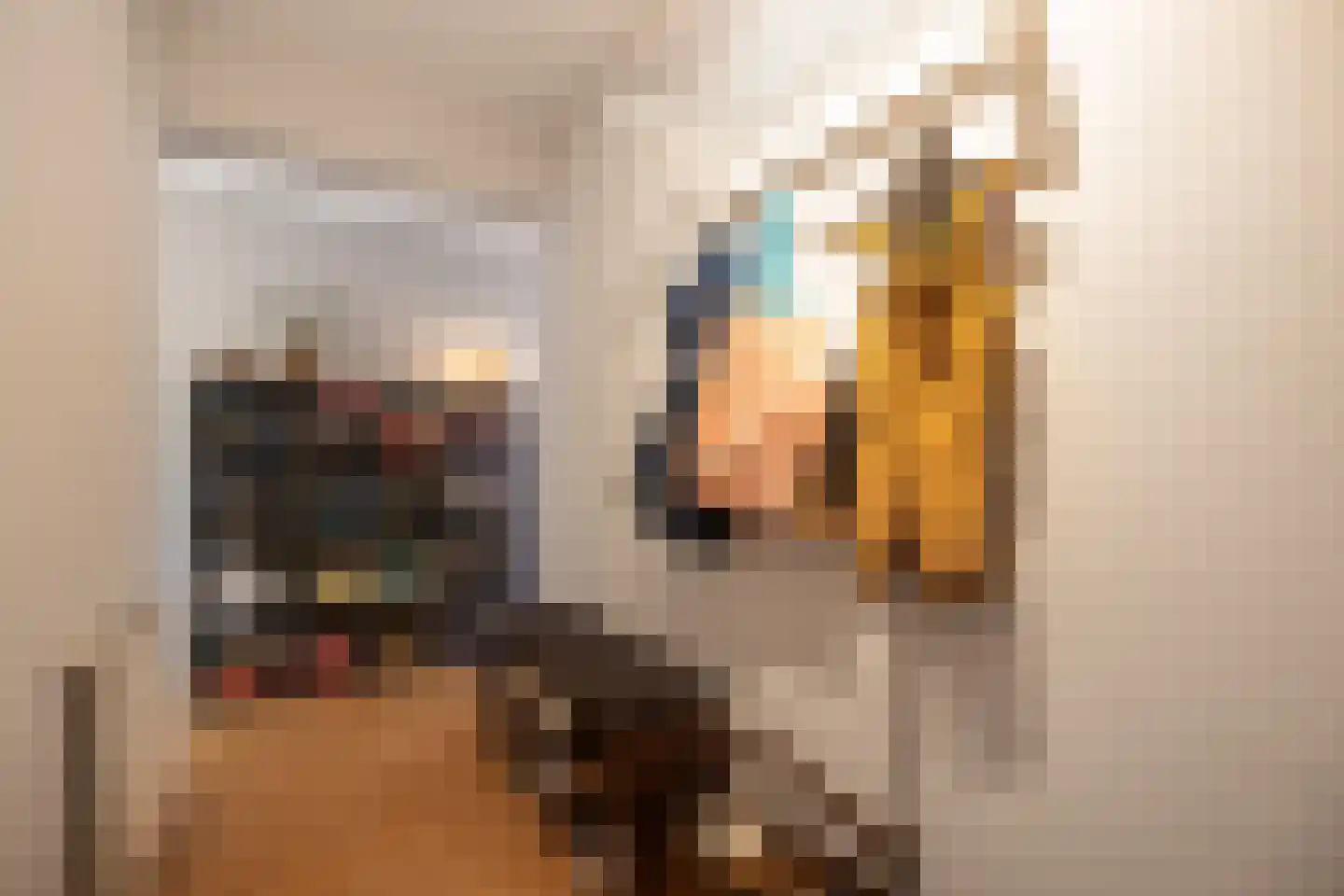 Verlengde Statenlaan 3 's-Hertogenbosch thumbnail 28