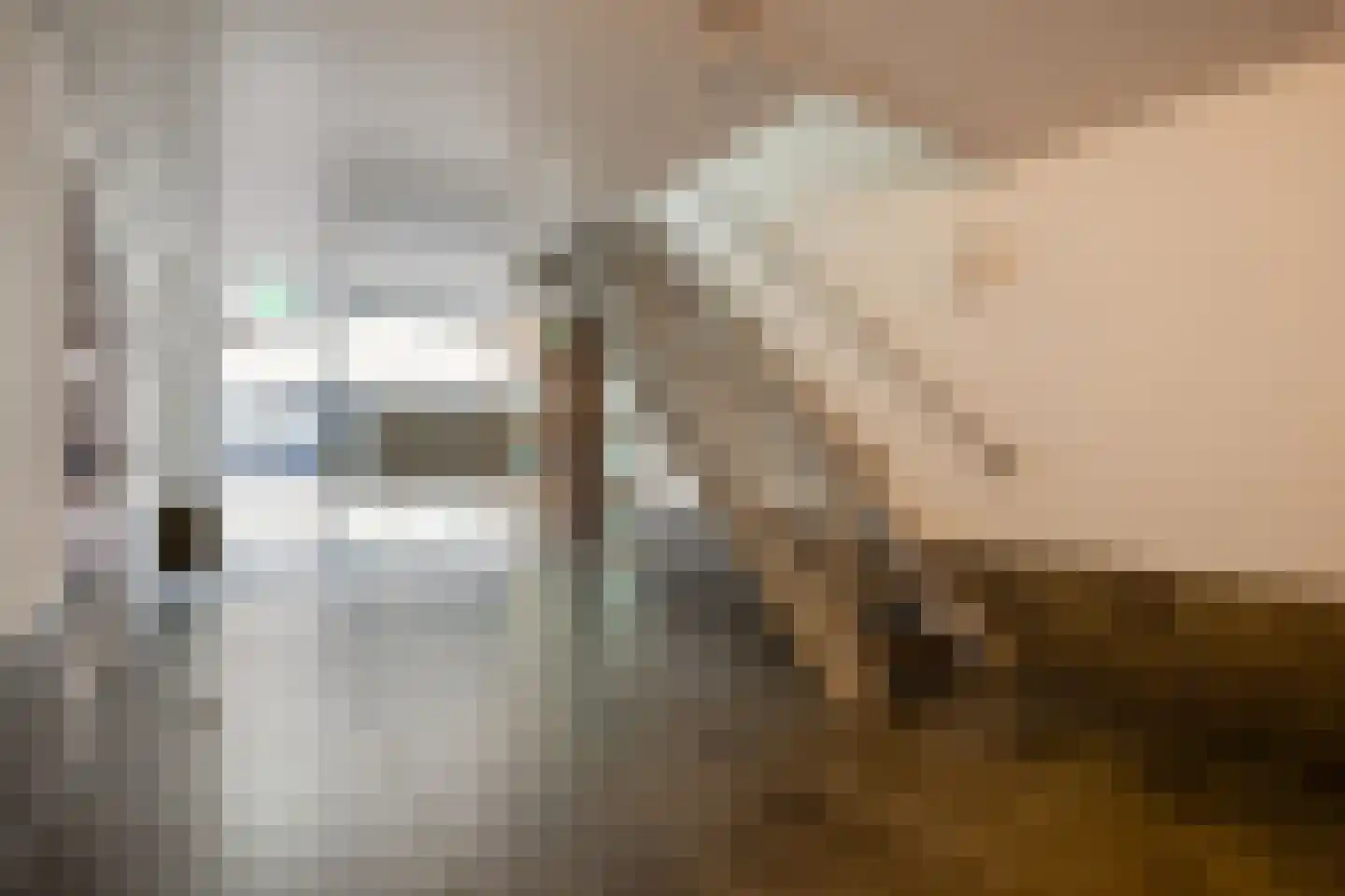 Verlengde Statenlaan 3 's-Hertogenbosch thumbnail 31