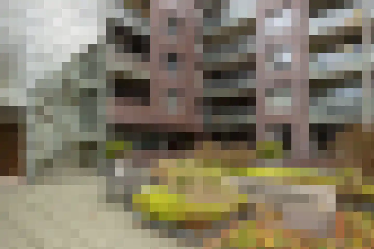 Verlengde Statenlaan 3 's-Hertogenbosch thumbnail 34