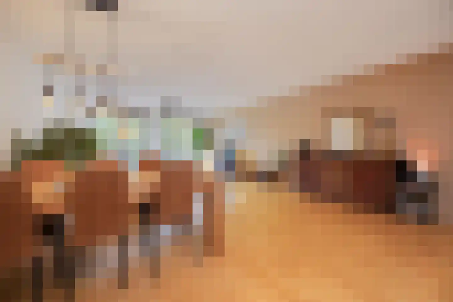 Verlengde Statenlaan 3 's-Hertogenbosch thumbnail 4