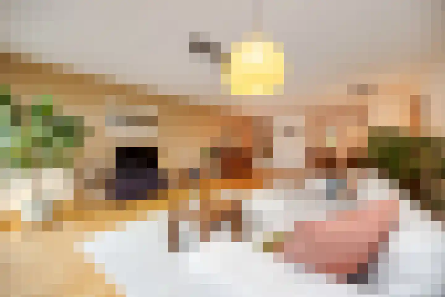 Verlengde Statenlaan 3 's-Hertogenbosch thumbnail 9