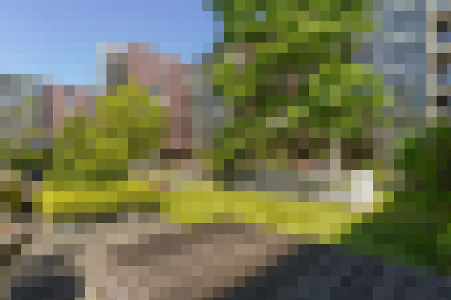 Verlengde Statenlaan 55 's-Hertogenbosch thumbnail 4