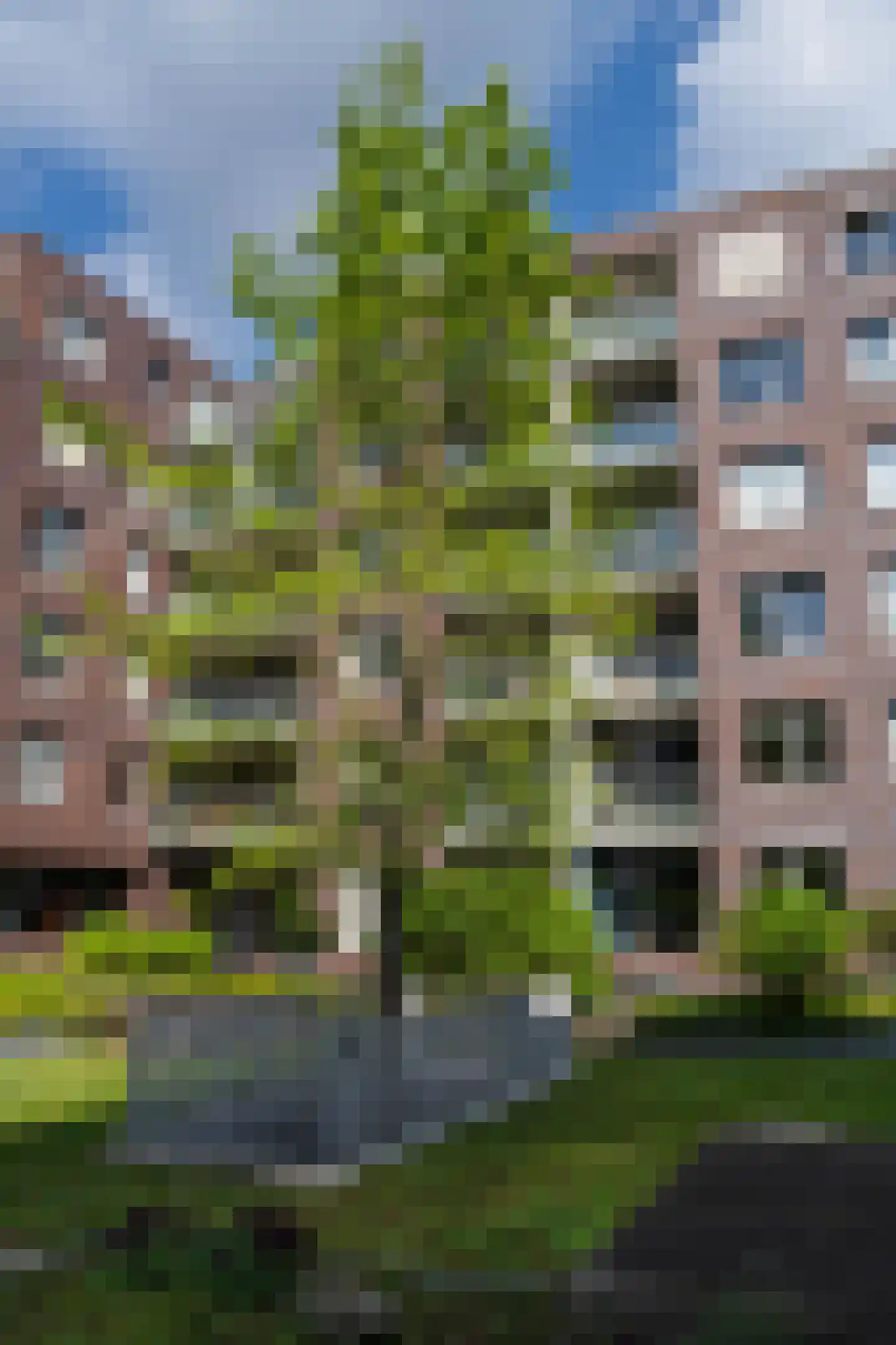Verlengde Statenlaan 55 's-Hertogenbosch thumbnail 55