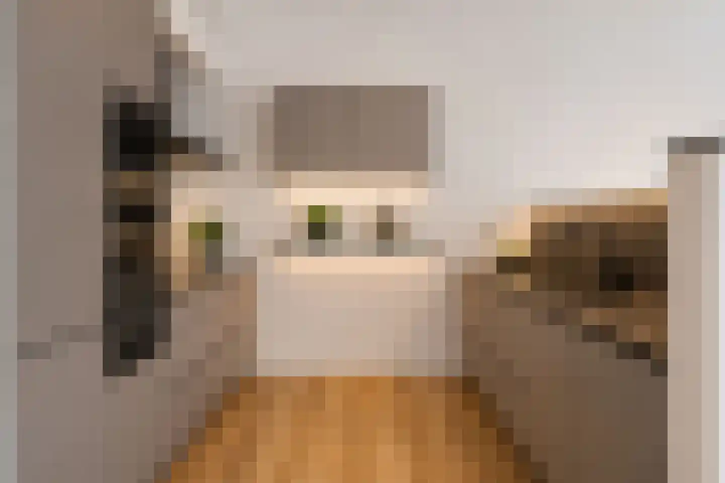 Verlengde Statenlaan 67 's-Hertogenbosch thumbnail 28