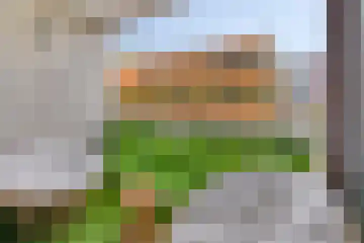 Verlengde Statenlaan 77 's-Hertogenbosch thumbnail 12