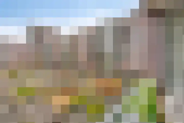 Verlengde Statenlaan 77 's-Hertogenbosch thumbnail 13