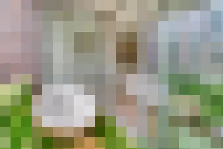Verlengde Statenlaan 77 's-Hertogenbosch thumbnail 14