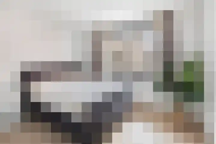 Verlengde Statenlaan 77 's-Hertogenbosch thumbnail 15