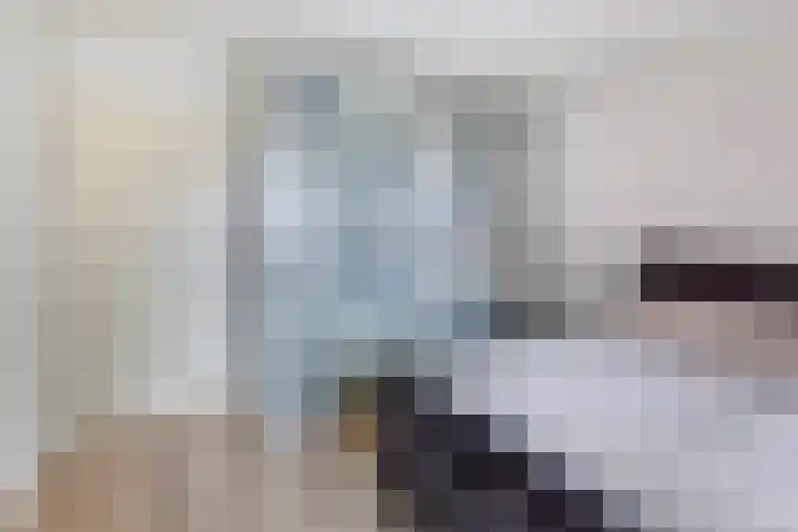 Verlengde Statenlaan 77 's-Hertogenbosch thumbnail 16