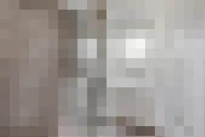 Verlengde Statenlaan 77 's-Hertogenbosch thumbnail 17
