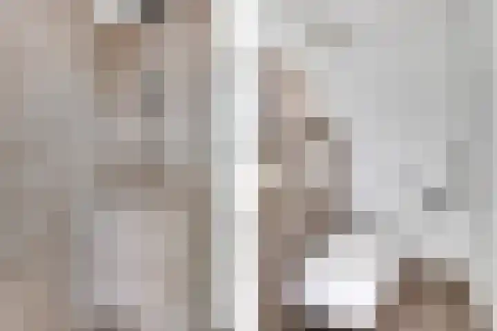 Verlengde Statenlaan 77 's-Hertogenbosch thumbnail 18