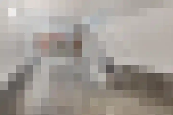 Verlengde Statenlaan 77 's-Hertogenbosch thumbnail 20