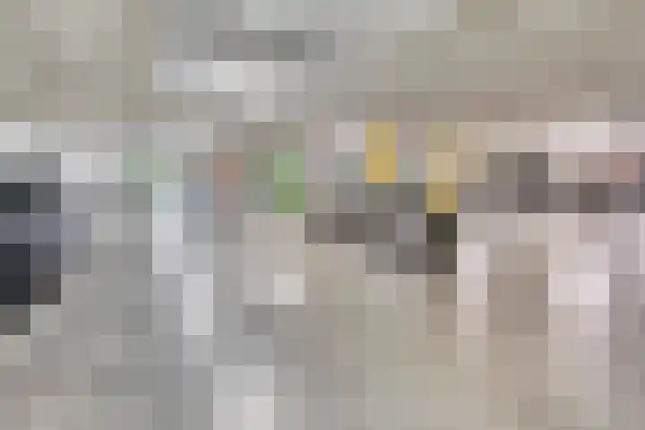 Verlengde Statenlaan 77 's-Hertogenbosch thumbnail 21