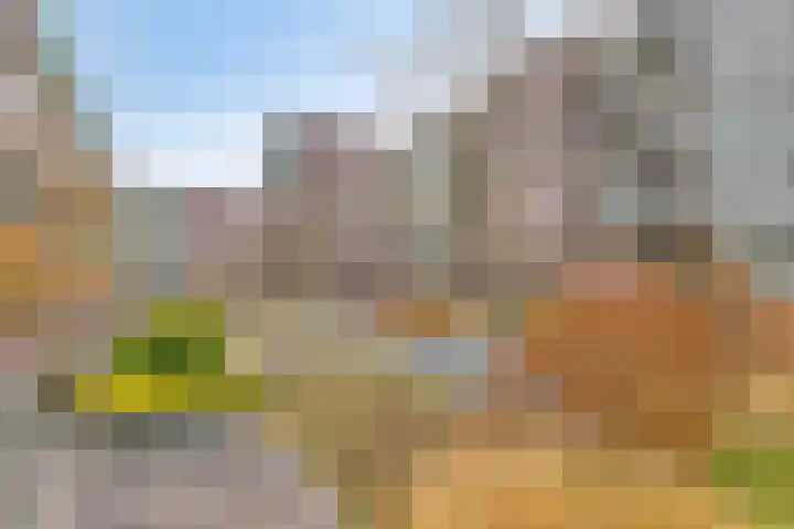 Verlengde Statenlaan 77 's-Hertogenbosch thumbnail 22