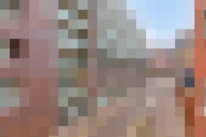 Verlengde Statenlaan 77 's-Hertogenbosch thumbnail 24