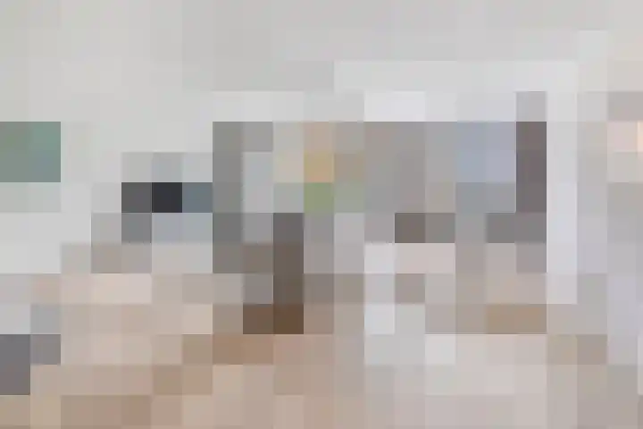 Verlengde Statenlaan 77 's-Hertogenbosch thumbnail 4