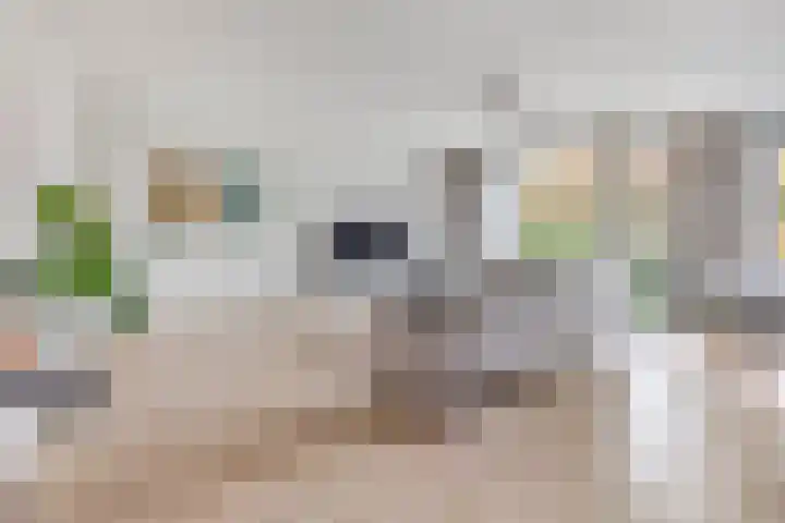 Verlengde Statenlaan 77 's-Hertogenbosch thumbnail 5