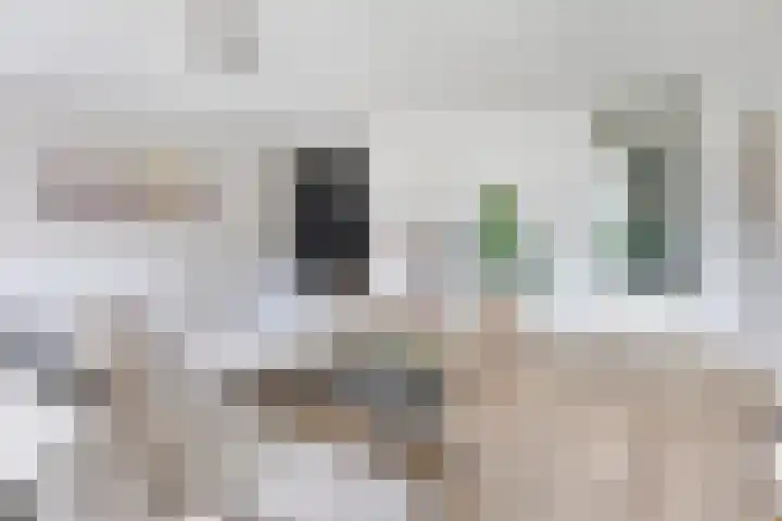 Verlengde Statenlaan 77 's-Hertogenbosch thumbnail 7