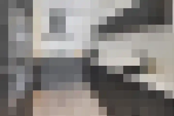 Verlengde Statenlaan 77 's-Hertogenbosch thumbnail 9
