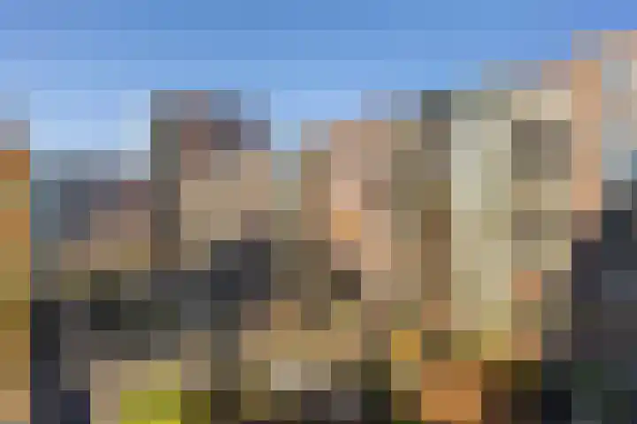 Verlengde Statenlaan 83 's-Hertogenbosch thumbnail 9