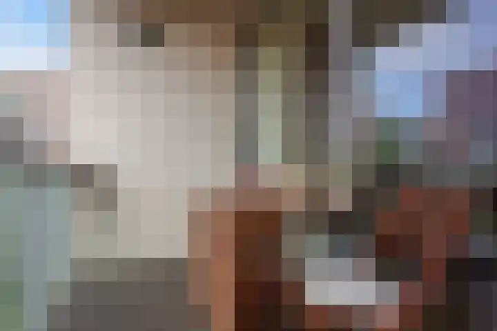 Verlengde Statenlaan 91 's-Hertogenbosch thumbnail 11