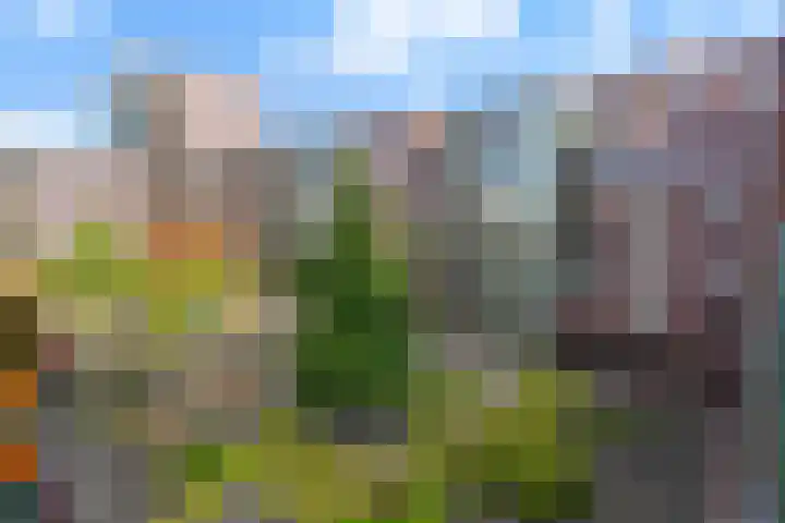 Verlengde Statenlaan 91 's-Hertogenbosch thumbnail 13