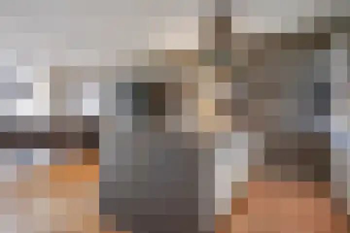 Verlengde Statenlaan 91 's-Hertogenbosch thumbnail 15