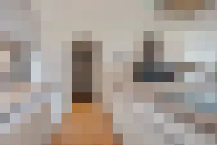 Verlengde Statenlaan 91 's-Hertogenbosch thumbnail 18