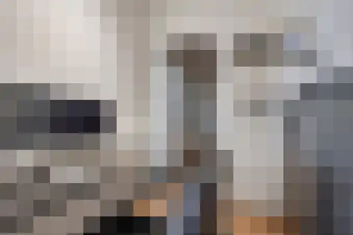 Verlengde Statenlaan 91 's-Hertogenbosch thumbnail 21