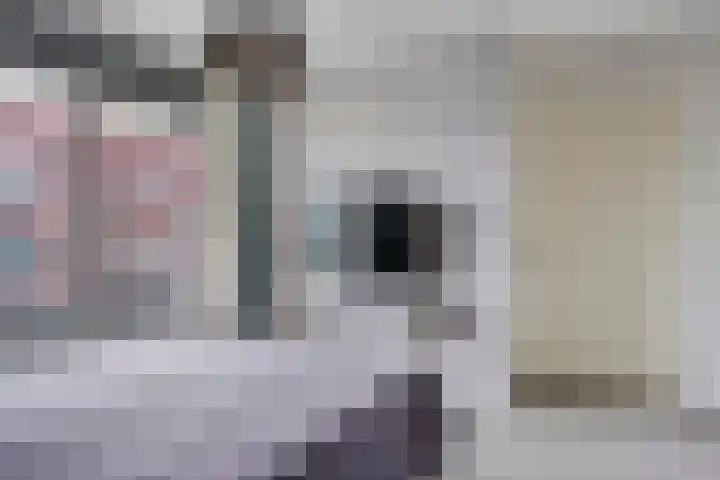 Verlengde Statenlaan 91 's-Hertogenbosch thumbnail 23