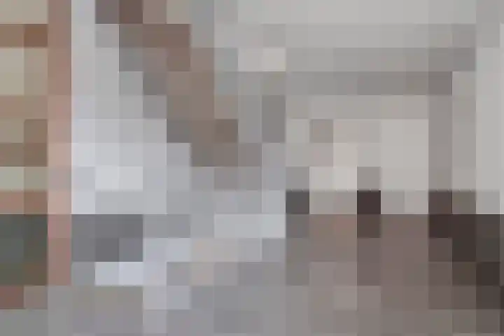 Verlengde Statenlaan 91 's-Hertogenbosch thumbnail 29