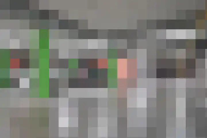 Verlengde Statenlaan 91 's-Hertogenbosch thumbnail 30