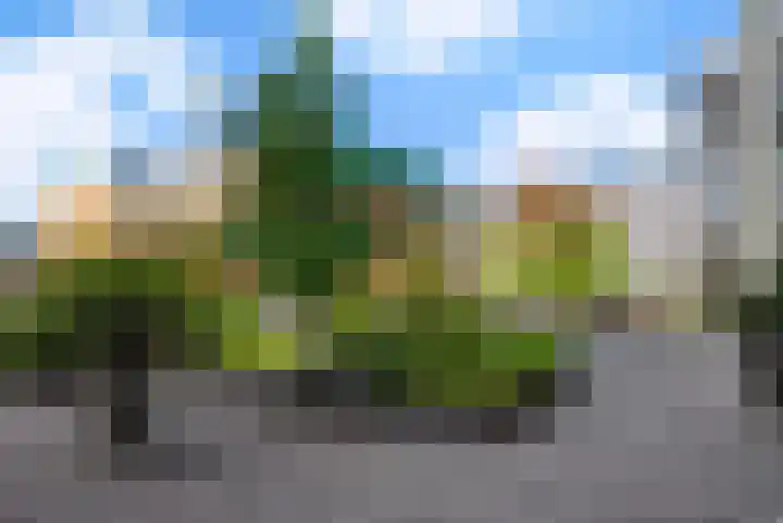 Verlengde Statenlaan 91 's-Hertogenbosch thumbnail 31