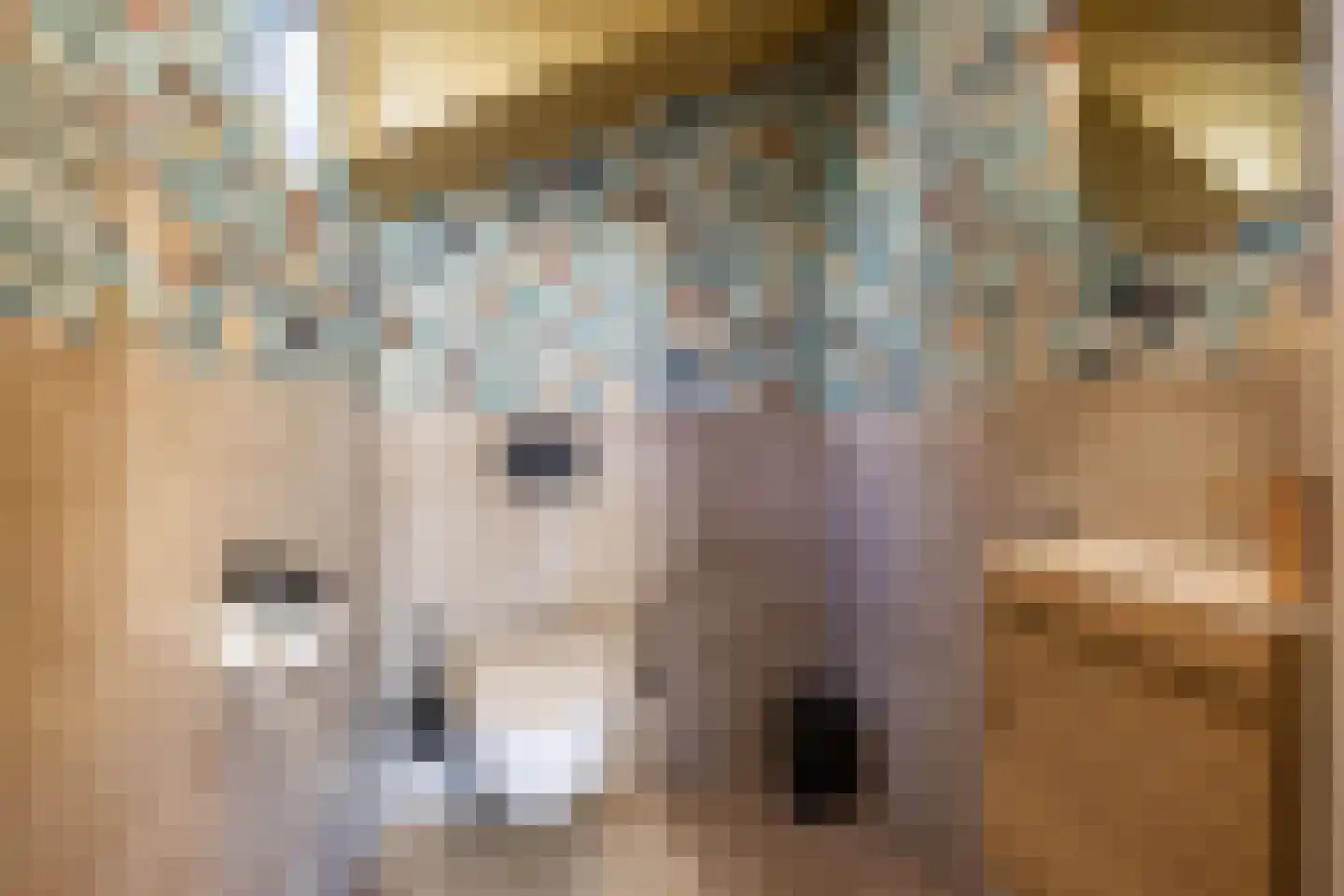 Verlengde Stationsweg 38 Zuidlaren thumbnail 37