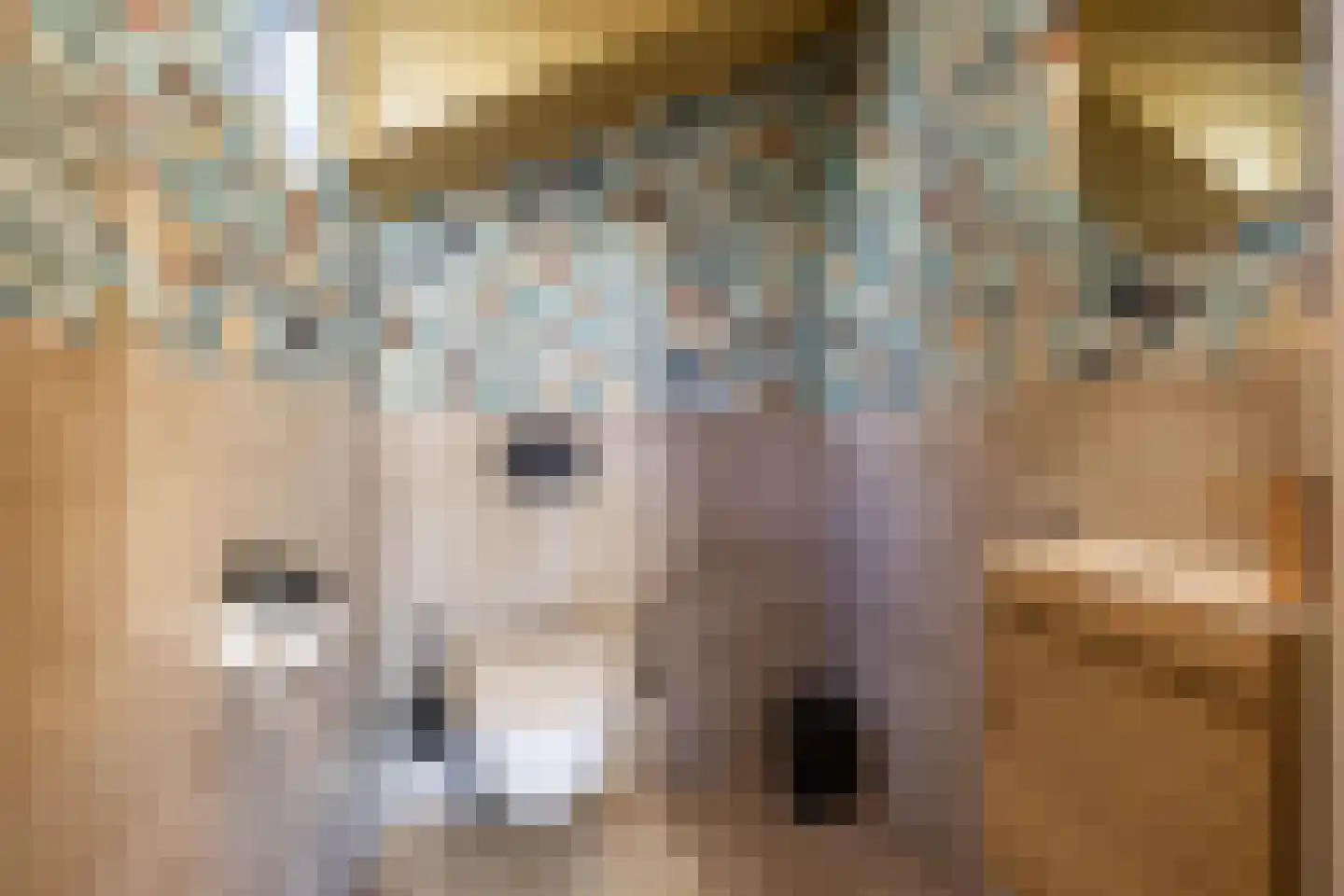 Verlengde Stationsweg 38 Zuidlaren thumbnail 37