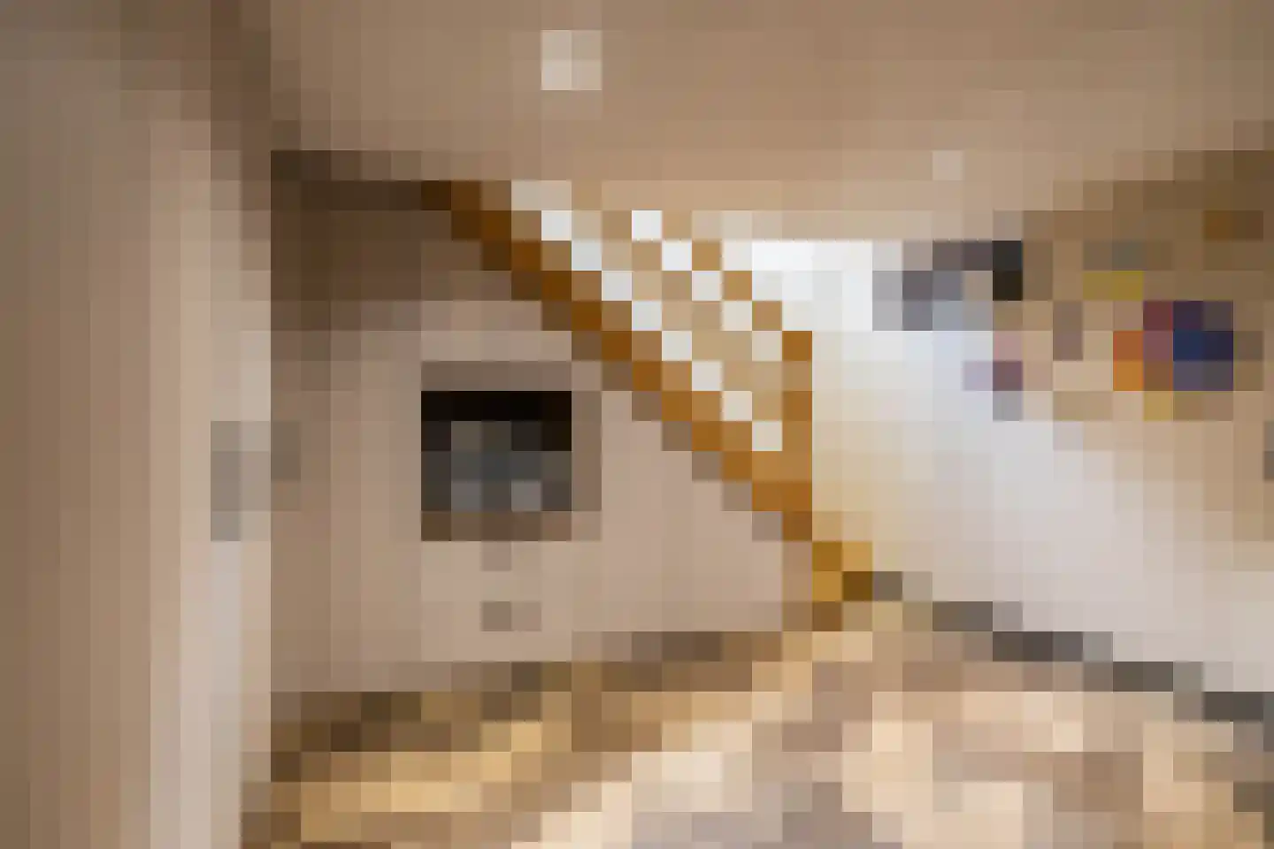 Verlengde Stationsweg 38 Zuidlaren thumbnail 45