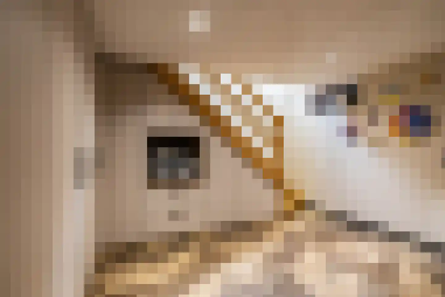 Verlengde Stationsweg 38 Zuidlaren thumbnail 45