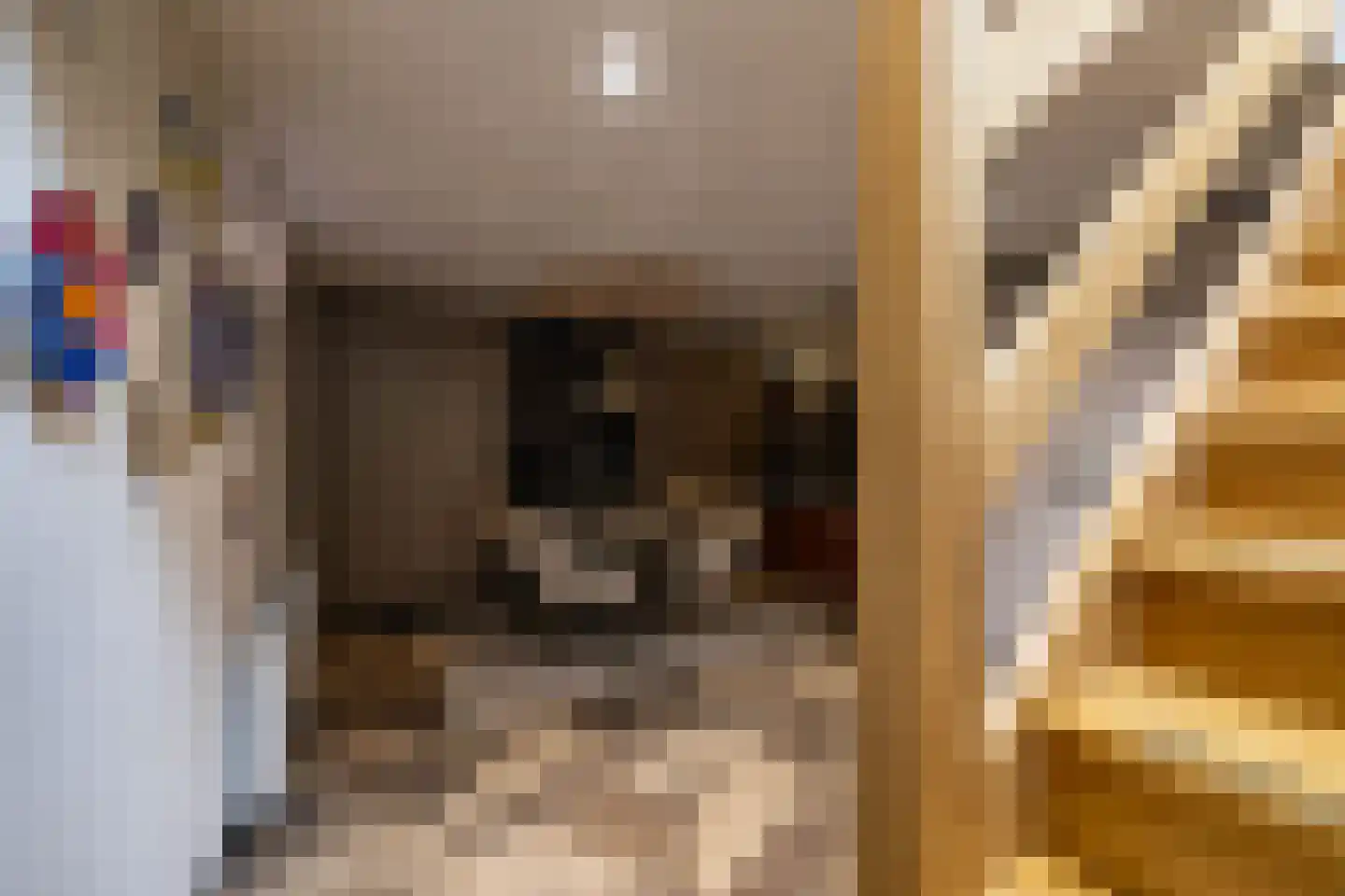 Verlengde Stationsweg 38 Zuidlaren thumbnail 47