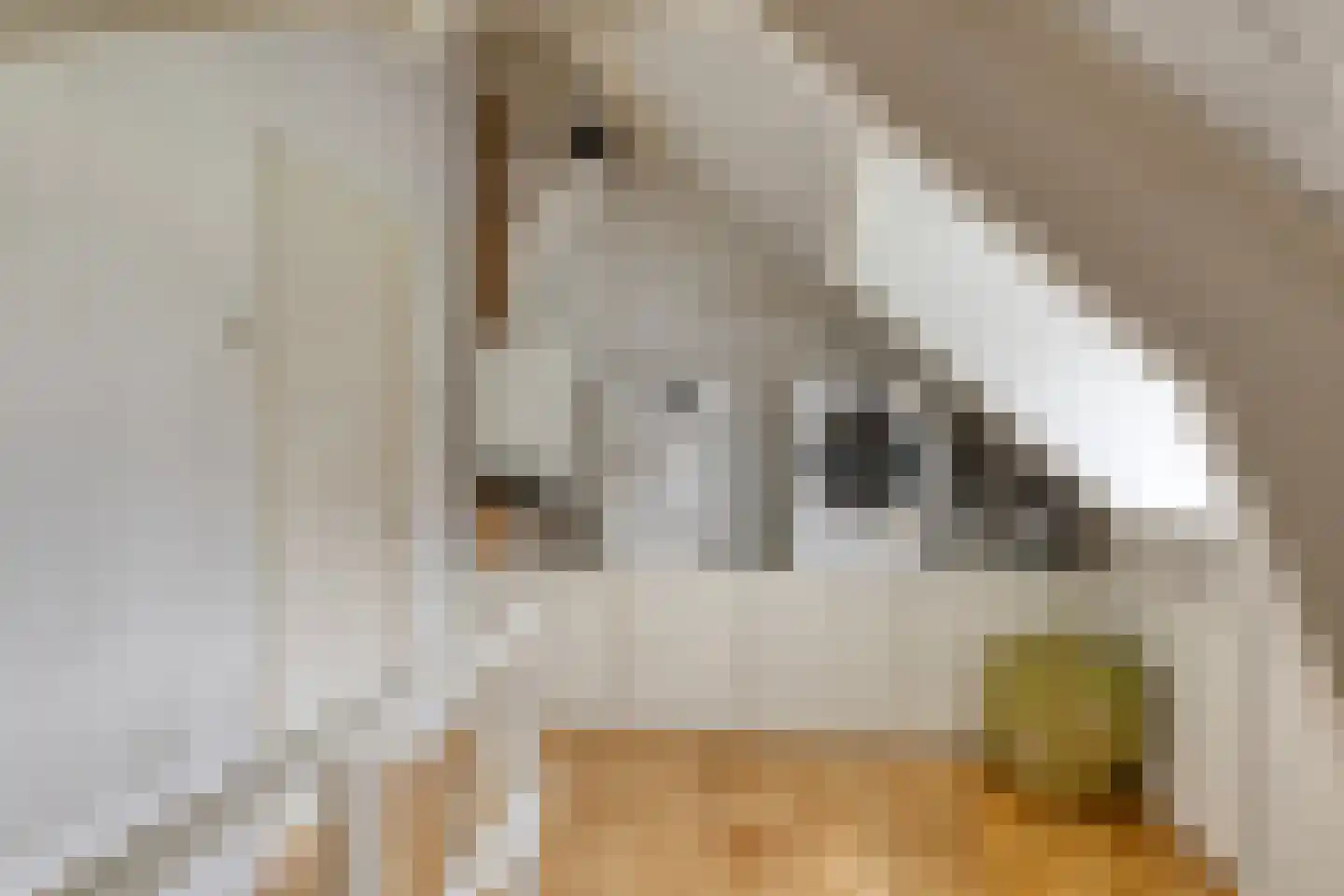 Verlengde Talmalaan 17 Soest thumbnail 32