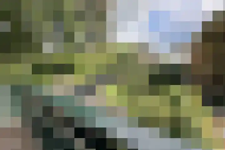 Verlengde Talmalaan 37 Soest thumbnail 23