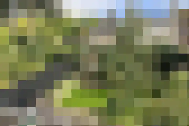 Verlengde Talmalaan 37 Soest thumbnail 30