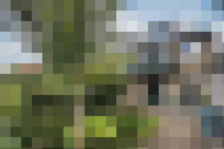 Verlengde Talmalaan 37 Soest thumbnail 31