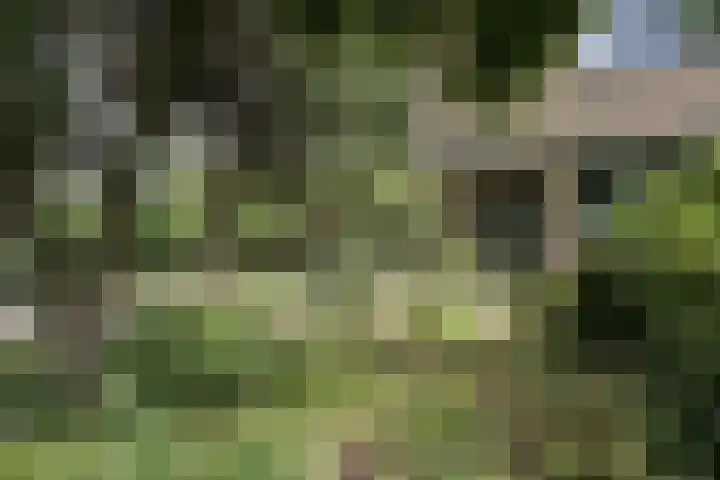 Verlengde Talmalaan 37 Soest thumbnail 38