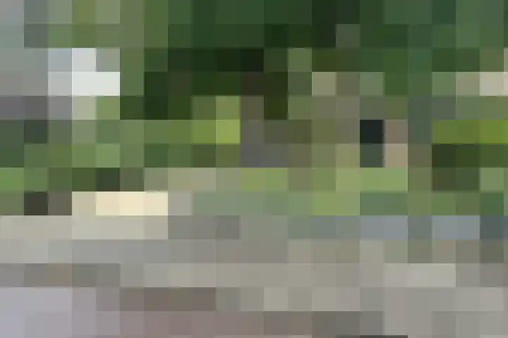 Verlengde Talmalaan 37 Soest thumbnail 40
