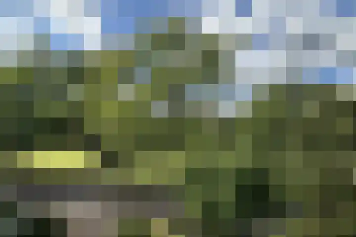 Verlengde Talmalaan 37 Soest thumbnail 42
