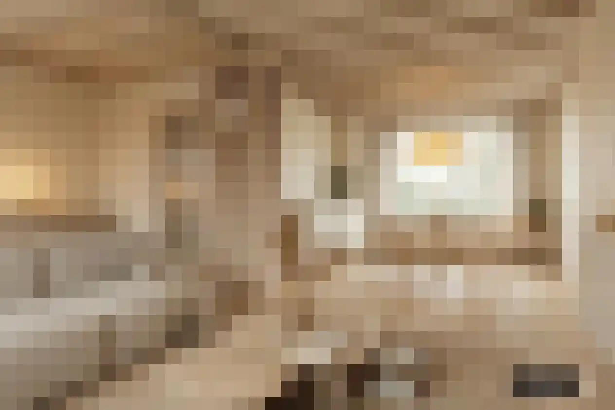 Verlengde Torenstraat 4 B Oss thumbnail 10