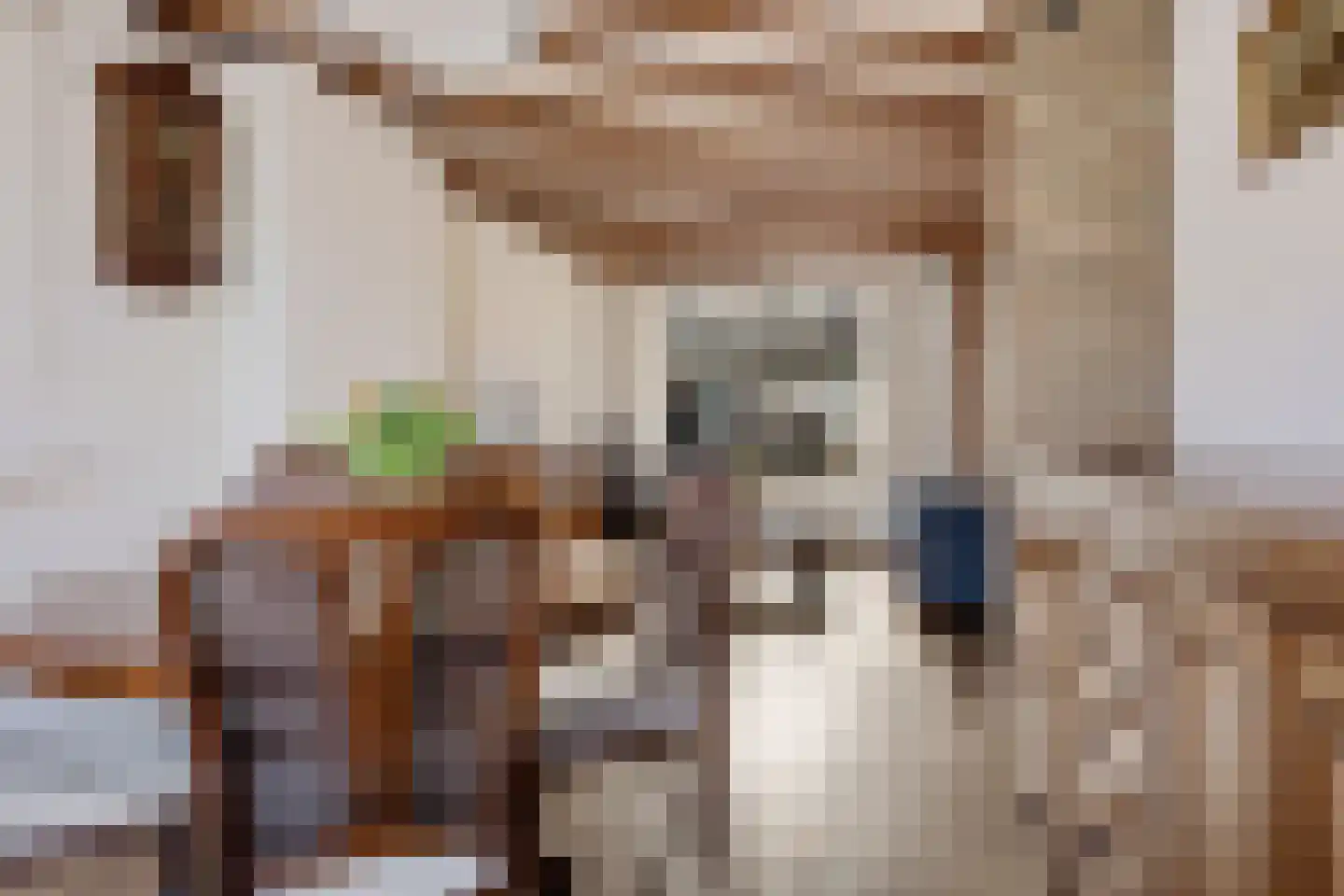 Verlengde Torenstraat 4 B Oss thumbnail 11