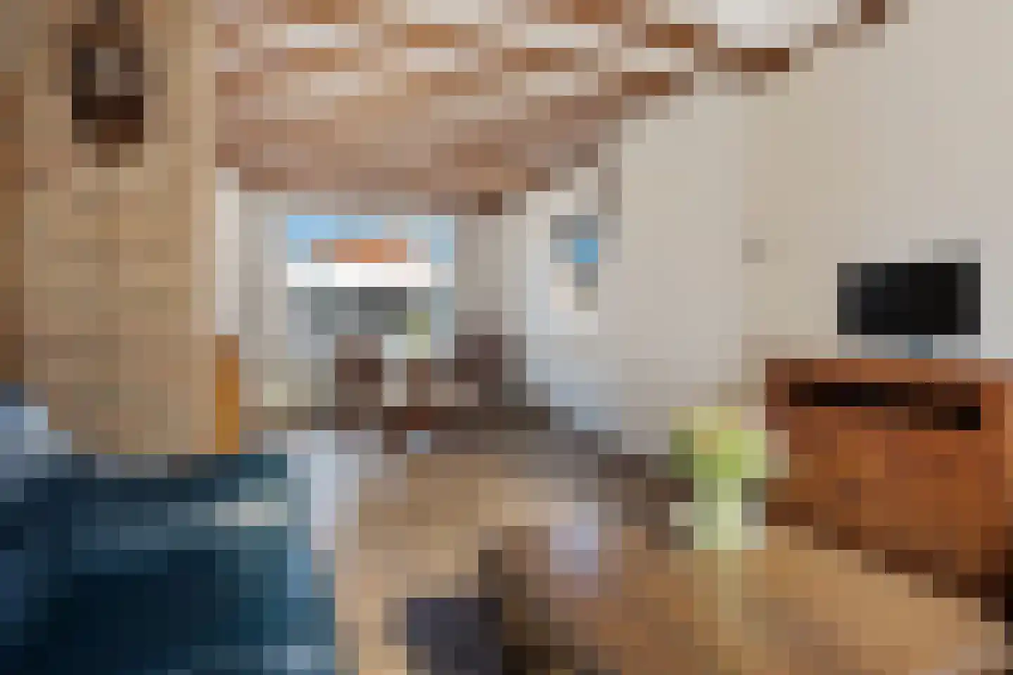Verlengde Torenstraat 4 B Oss thumbnail 13